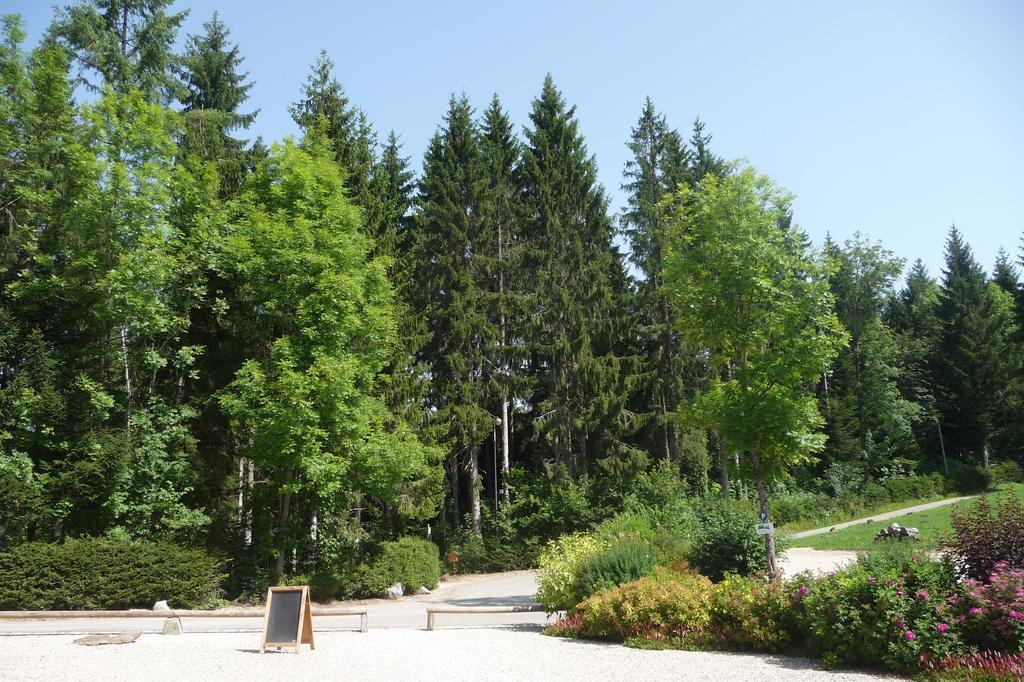 Domaine De La Sapiniere Hotel Thorens-Glières Buitenkant foto